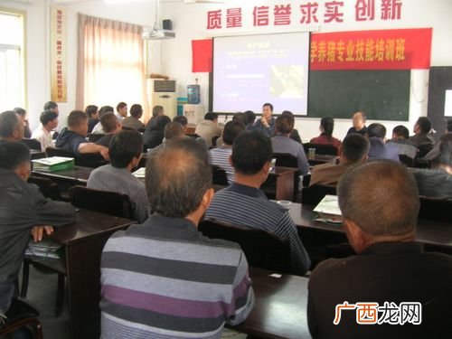 养猪设备图片 养猪培训技术