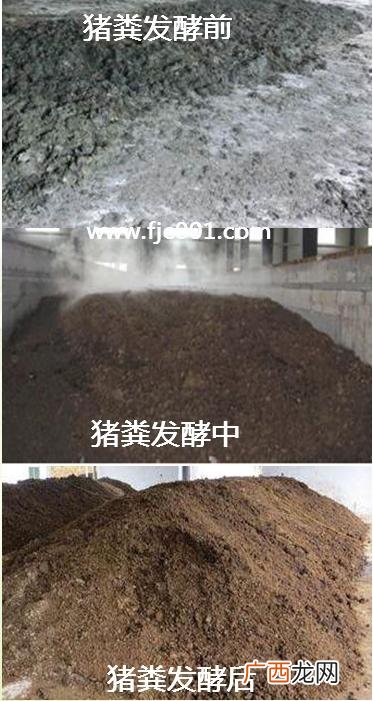 猪粪沼气池的建造方法 猪粪沼气技术