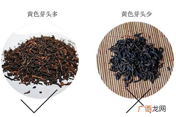 小青柑普洱茶怎么挑选挑出上好小青柑