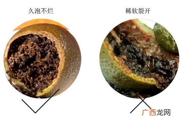 小青柑普洱茶怎么挑选挑出上好小青柑