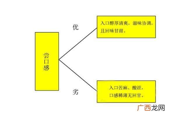 小青柑普洱茶怎么挑选挑出上好小青柑
