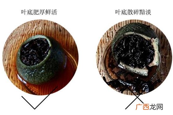 小青柑普洱茶怎么挑选挑出上好小青柑