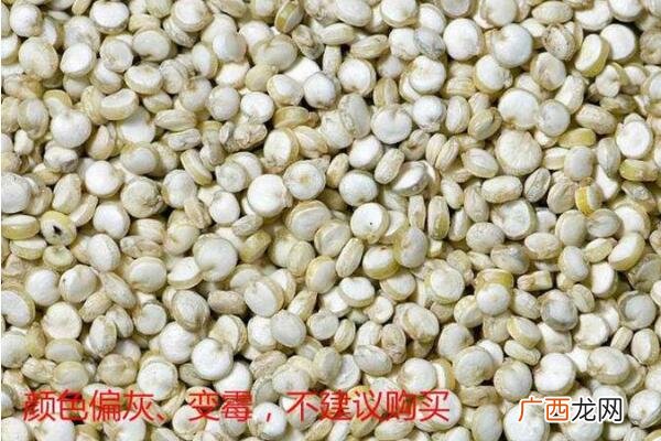 藜麦什么颜色营养最高不同颜色营养差别并不大