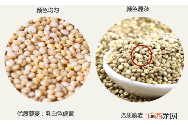 藜麦什么颜色营养最高不同颜色营养差别并不大