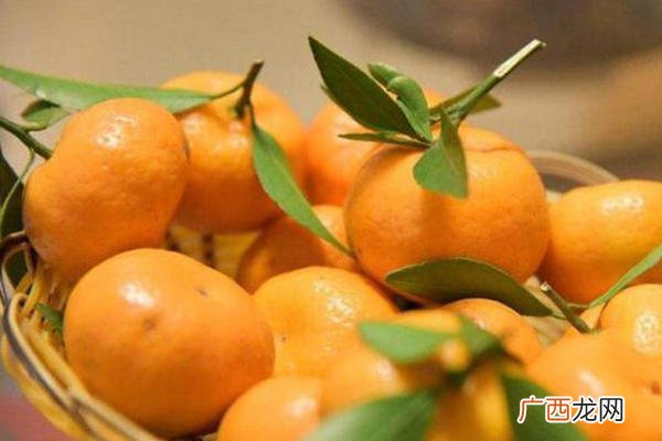 蜜橘和砂糖橘如何区分蜜橘和砂糖橘的图片