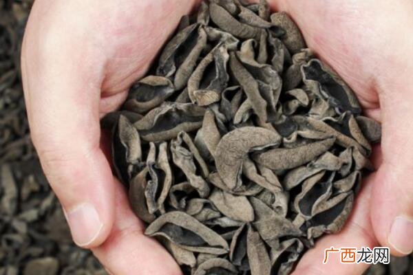 木耳好坏怎么鉴别木耳谨防假冒