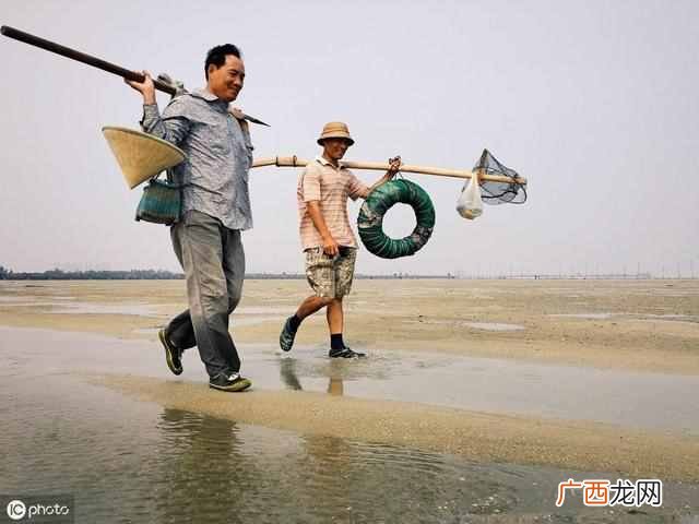 沙虫是什么样子的？杀虫怎么吃