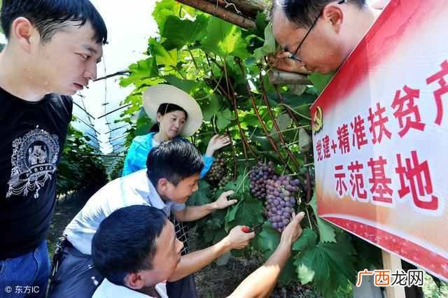 因地制宜什么意思？扶贫也需要因地制宜