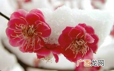 什么是真正的知心朋友?一生得一知己足矣