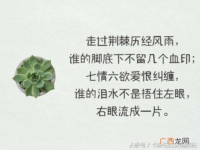 言不由衷什么意思？你说过哪些言不由衷的话，