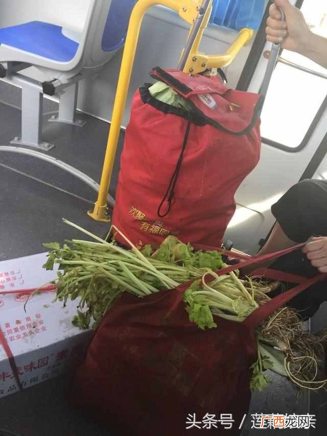 四风日下人心不古什么意思？现在的人道德底线