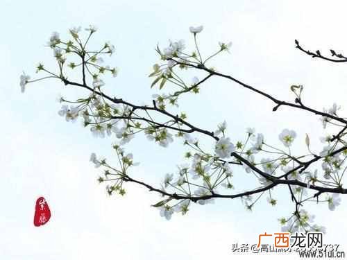 魂牵梦绕是什么意思？让我魂牵梦绕的是久别的