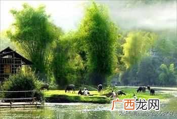 魂牵梦绕是什么意思？让我魂牵梦绕的是久别的