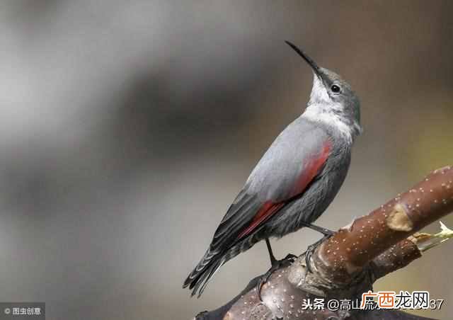 魂牵梦绕是什么意思？让我魂牵梦绕的是久别的