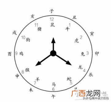 酉时和卯时是什么时候？12时辰对应时间表
