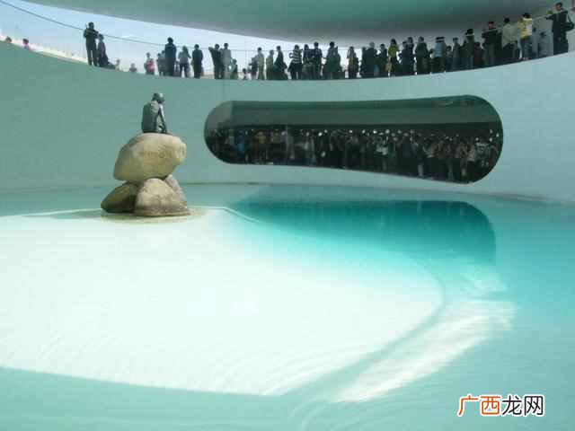 世博会是什么时候在上海举办的？