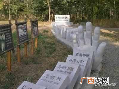 什么是食物链？其实人才是食物链顶层的屠夫