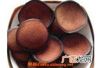 血茸的功效与作用 血茸适合什么人群吃