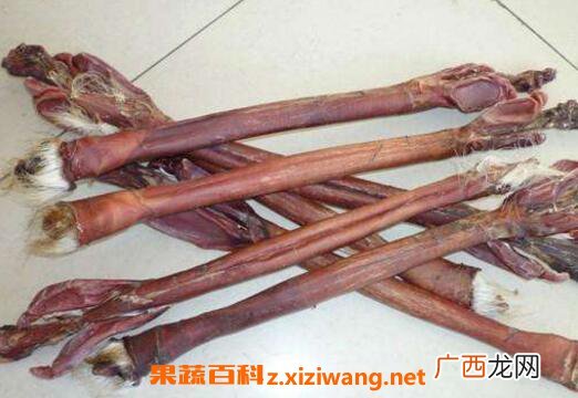 鹿鞭的功效与作用 吃鹿鞭的好处