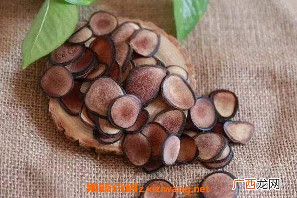 鹿茸的功效与作用 鹿茸有多滋补