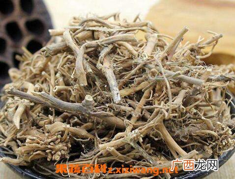 白前的功效与作用及药用价值