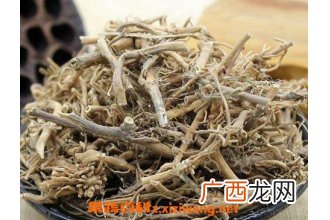 白前的功效与作用及药用价值