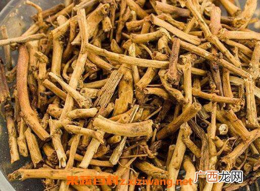 白前的功效与作用及药用价值