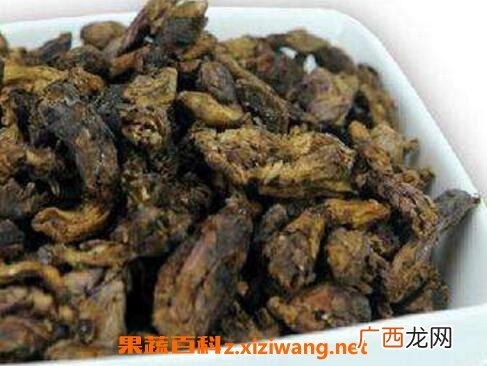 蜜款冬花的功效与作用