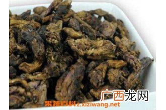 蜜款冬花的功效与作用