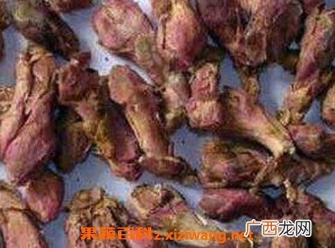 蜜款冬花的功效与作用
