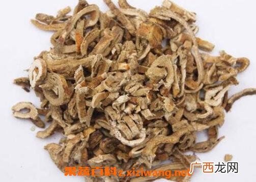 蜜桑白皮的功效与作用