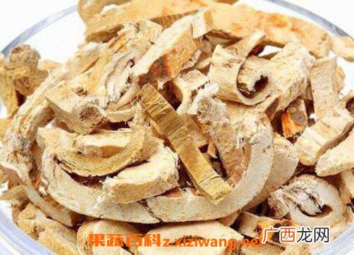 蜜桑白皮的功效与作用