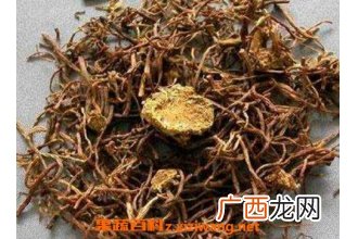 蜜紫菀的功效与作用
