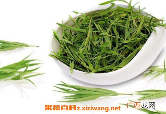 淡竹叶的功效与作用及药用价值