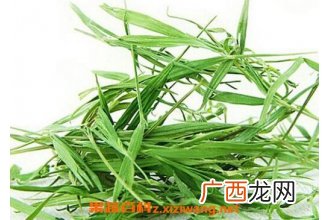淡竹叶的功效与作用及药用价值