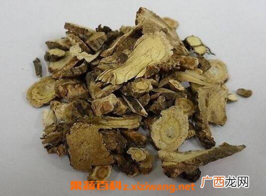 前胡的功效与作用及食用方法