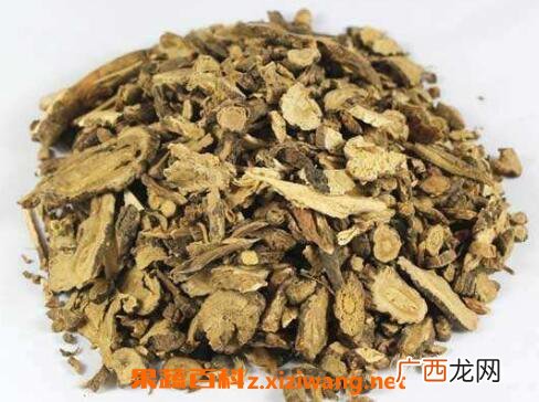 前胡的功效与作用及食用方法