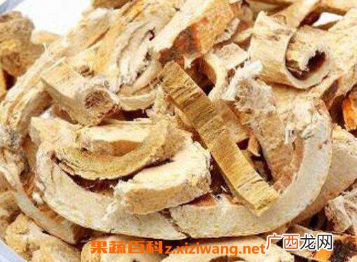 桑白皮的功效与作用及药用价值