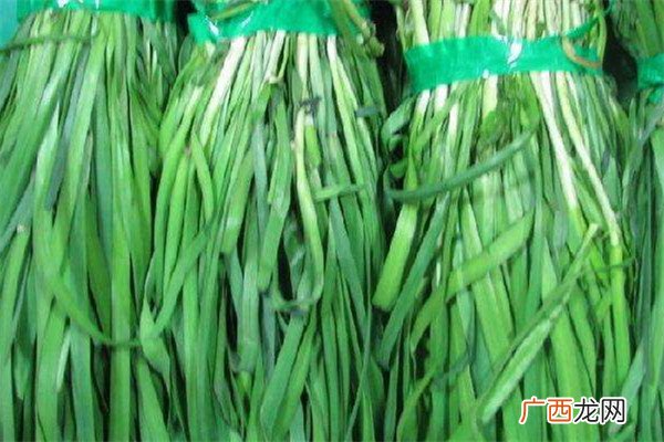 韭菜可以治脚气吗脚气治疗方法