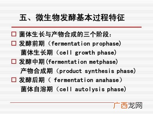 微生物发酵设备 微生物发酵技术养殖