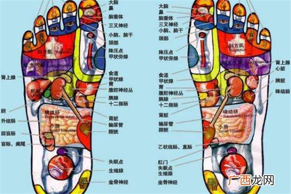 脚上有哪些穴位哪些穴位代表身体健康