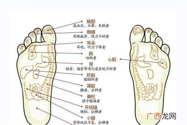 脚上有哪些穴位哪些穴位代表身体健康