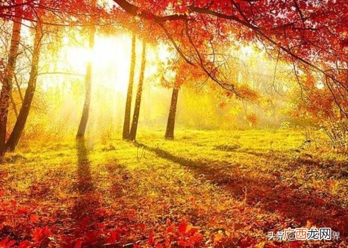 励志座右铭大全，珍藏的300句励志座右铭