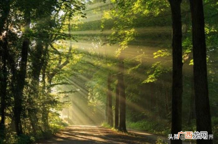励志座右铭大全，珍藏的300句励志座右铭
