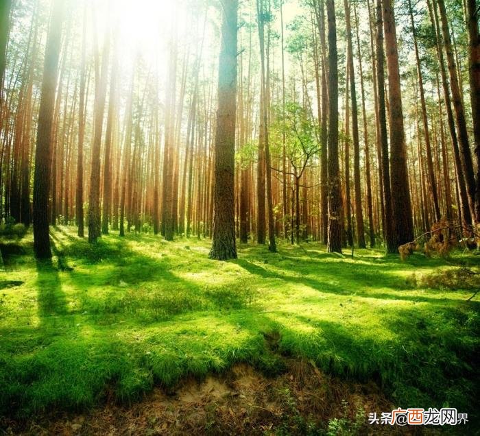 励志座右铭大全，珍藏的300句励志座右铭