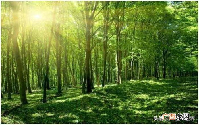 励志座右铭大全，珍藏的300句励志座右铭