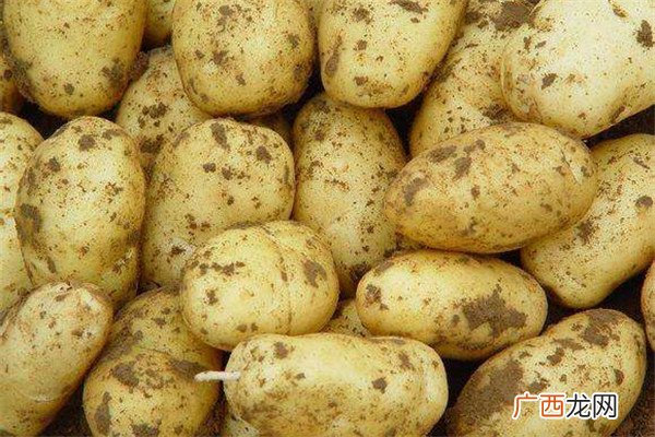 土豆可以去眼袋吗土豆去眼袋怎么做