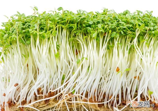 投资10万加盟办厂项目 在家加盟办厂