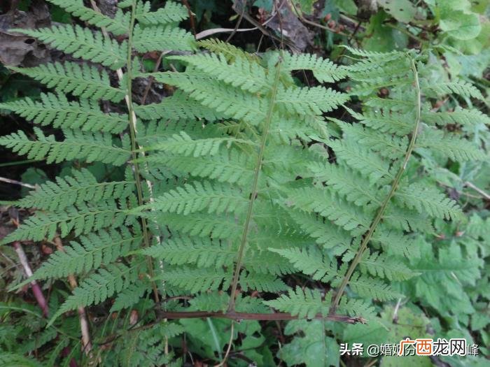 那些三番五次出轨搞婚外情的男人 出轨动真情的男人还能挽回吗