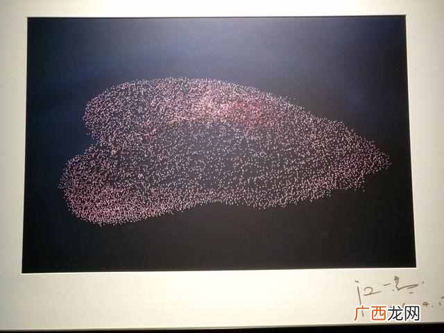 文艺青年是什么意思？文艺青年的三个特点